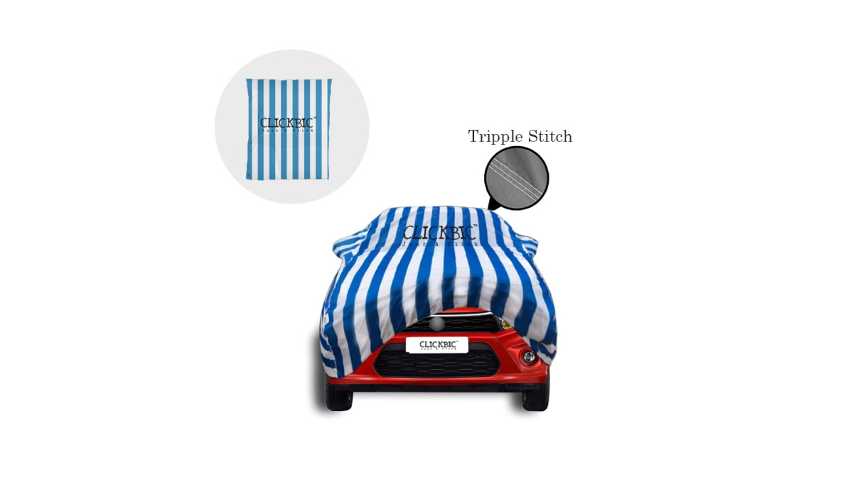 Maruti Suzuki Celerio White Blue Stripes Car Cover