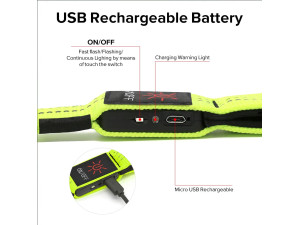 USB rechargeable led pet leash